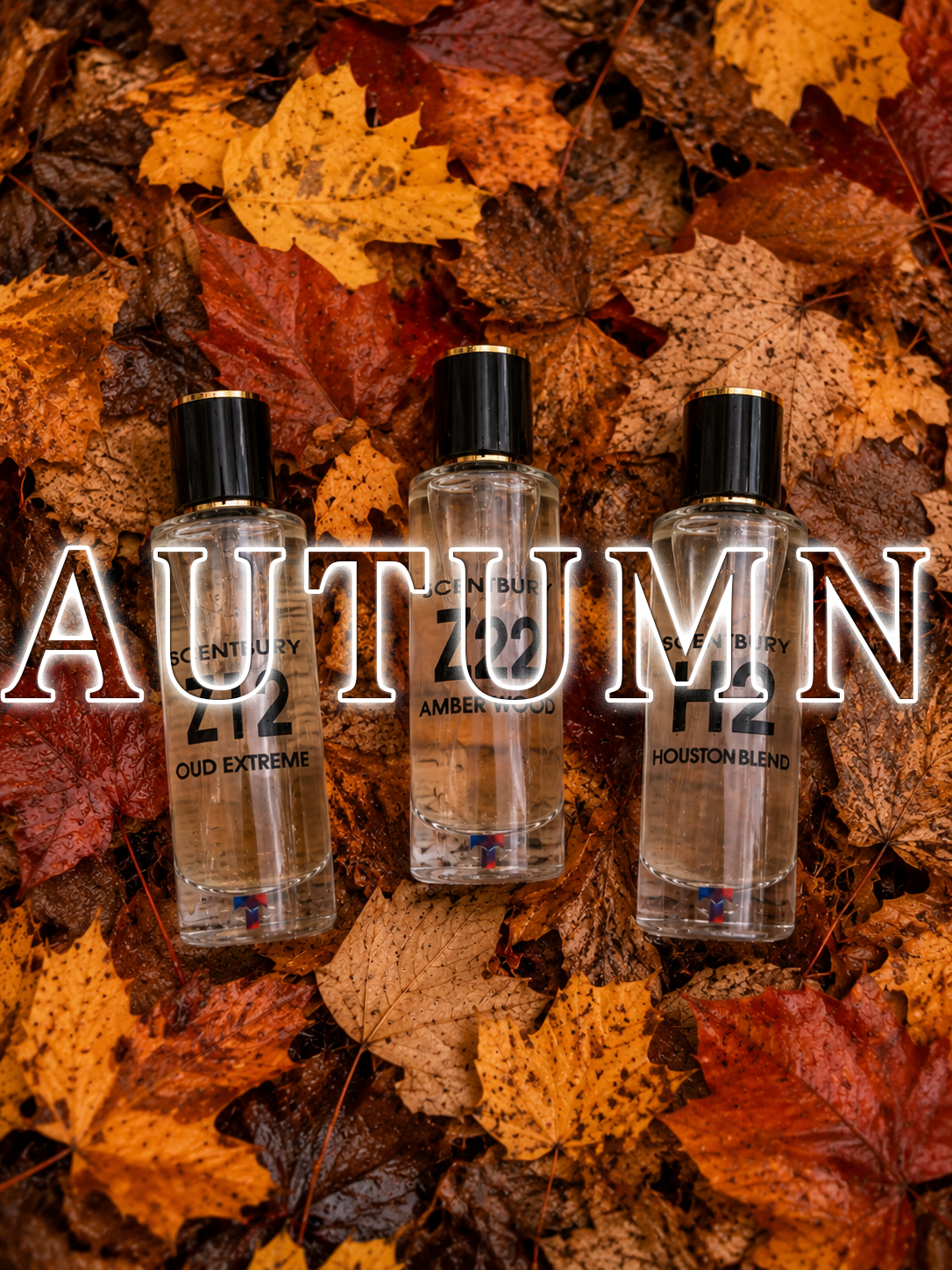 Fall Collection
