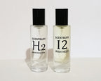 Midnight Energy Bundle (H2 + I2) - Bundle Deal for Winter & Spring